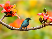 Sue Hsu's photo